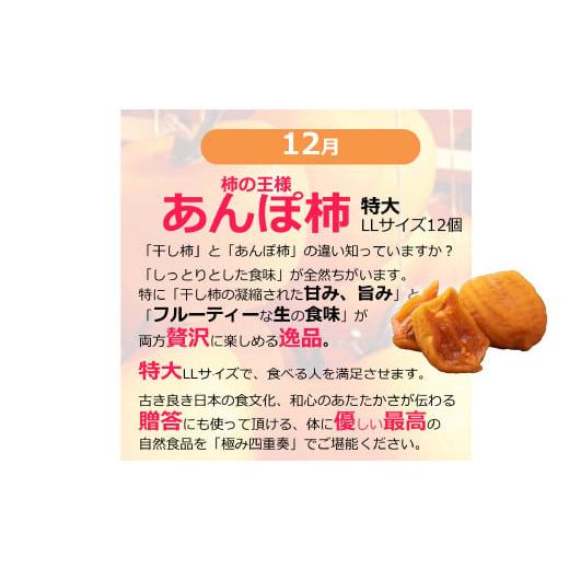 ふるさと納税 ぶどう マスカット 山梨県 笛吹市  定期便：全6回 極み四重奏 季節ごとの最高品を産地直送 088-017_7