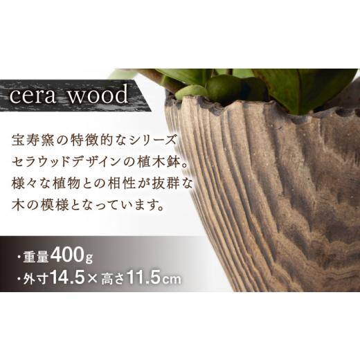 ふるさと納税 陶磁器・漆器・ガラス 佐賀県 武雄市  宝寿窯 植木鉢（大）cera wood UCN025 cera woodの画像