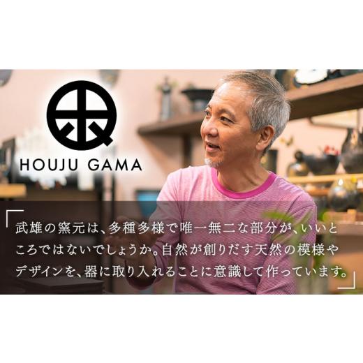 ふるさと納税 陶磁器・漆器・ガラス 佐賀県 武雄市  宝寿窯 植木鉢（大）cera wood UCN025 cera woodの画像