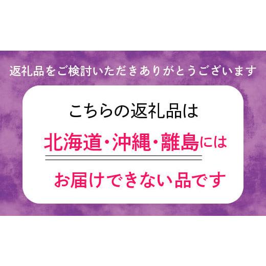 ふるさと納税 雑貨・日用品 花 山梨県 昭和町 バラ鉢植え「アイ ウィル」 SWBD001の画像