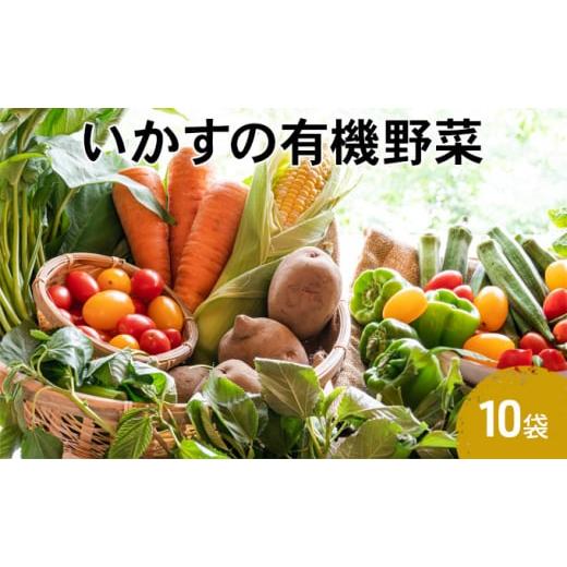 ふるさと納税 神奈川県 平塚市 いかすの有機野菜10袋