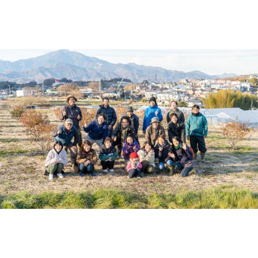 ふるさと納税 神奈川県 平塚市 いかすの有機野菜10袋｜furusatochoice｜04