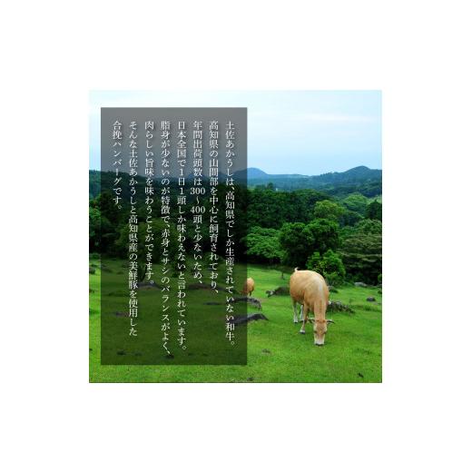 ふるさと納税 肉 ハンバーグ 高知県 芸西村 創業50年老舗レストランの幻の和牛あかうしハンバーグ130g×40コ（ソース無し）人気惣菜 数量限定 牛肉 豚肉 故郷…_3