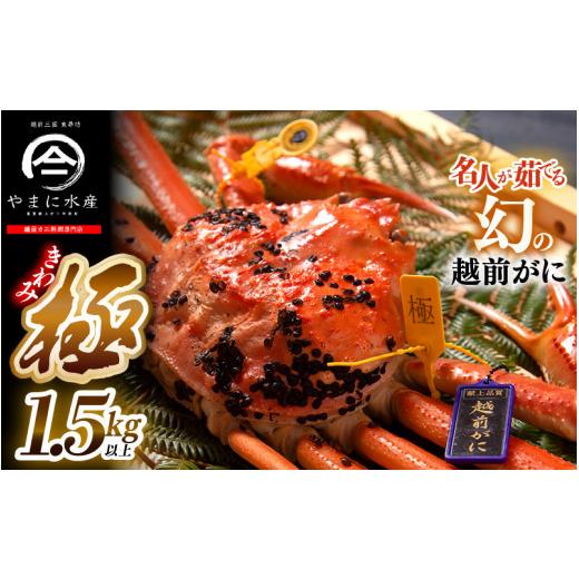 ふるさと納税 カニ ずわいガニ 福井県 坂井市 先行予約 名人が茹でる、幻の越前がに[極〜きわみ](1.5kg以上)やまに仕込み 2026年11月発送 ズワイガニ ず…