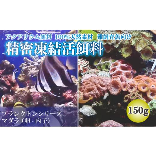 ふるさと納税 生き物 岩手県 大船渡市 精密凍結活餌料 マダラ 150g (50g×3) 難飼育魚向け餌料 観賞魚 熱帯魚の画像