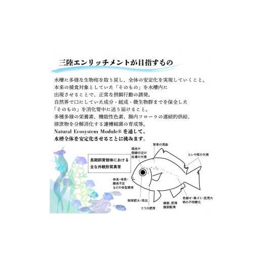 ふるさと納税 生き物 岩手県 大船渡市 精密凍結活餌料 マダラ 150g (50g×3) 難飼育魚向け餌料 観賞魚 熱帯魚の画像