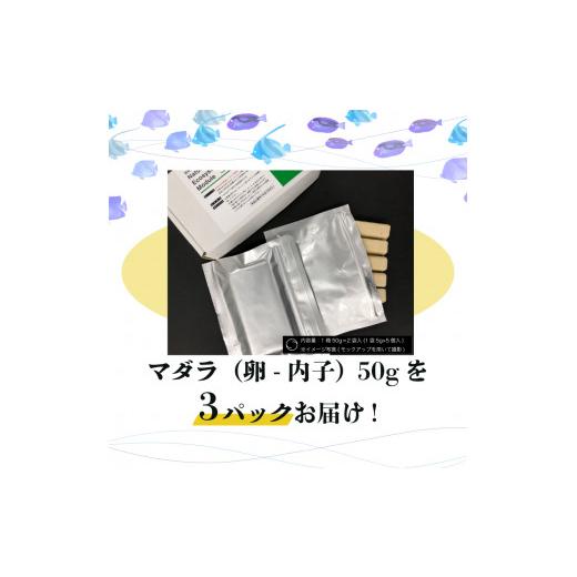 ふるさと納税 生き物 岩手県 大船渡市 精密凍結活餌料 マダラ 150g (50g×3) 難飼育魚向け餌料 観賞魚 熱帯魚の画像