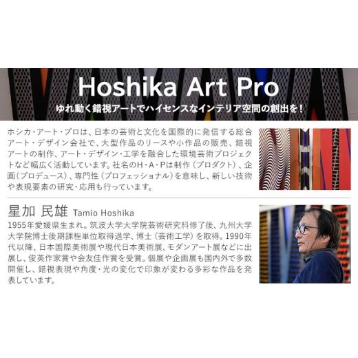 ふるさと納税 雑貨・日用品 インテリア 熊本県 菊池市 アート作品 花に群がる11匹の蝶 ホシカ・アート・プロ 芸術作品 錯視 アート 芸術品 インテリア_3