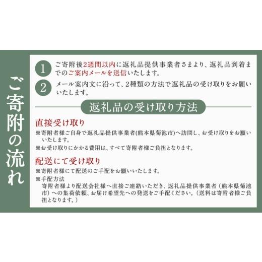 ふるさと納税 雑貨・日用品 インテリア 熊本県 菊池市 アート作品 花に群がる11匹の蝶 ホシカ・アート・プロ 芸術作品 錯視 アート 芸術品 インテリア_4