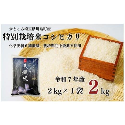 ふるさと納税 米 コシヒカリ 埼玉県 川島町 令和7年度産 特別栽培米 埼玉県かわじま町 天領米(コシヒカリ) 2kg×1袋
