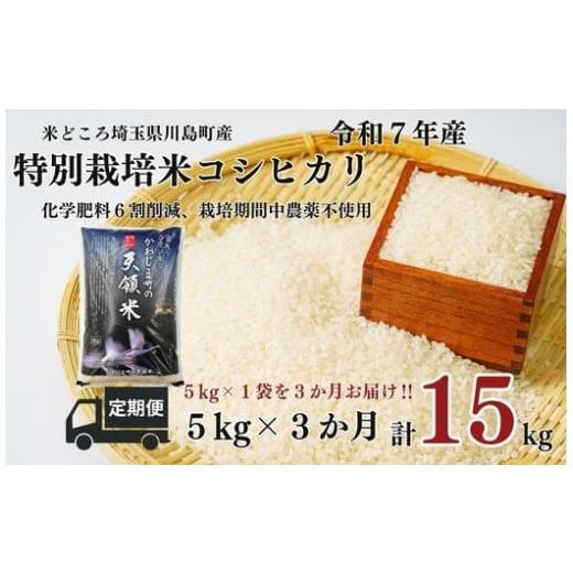 ふるさと納税 米 コシヒカリ 埼玉県 川島町 定期便3か月 令和7年度産 特別栽培米 埼玉県かわじま町 天領米(コシヒカリ) 5kg×1袋 計15kg