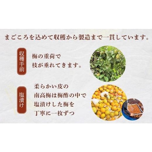 ふるさと納税 加工品等 梅干 和歌山県 上富田町 極上 紀州南高梅 はちみつ 梅干し 3L サイズ以上 合計 5kg ( 1kg × 5パック ) 塩分約8％ 化粧箱入り_5