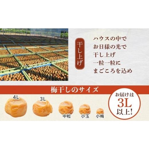 ふるさと納税 加工品等 梅干 和歌山県 上富田町 極上 紀州南高梅 はちみつ 梅干し 3L サイズ以上 合計 5kg ( 1kg × 5パック ) 塩分約8％ 化粧箱入り_6