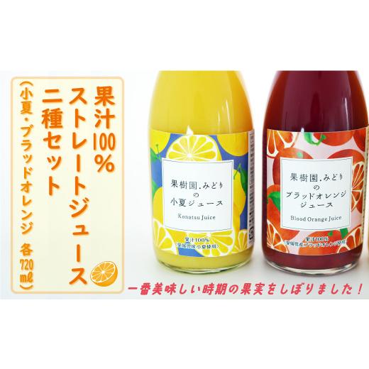 ふるさと納税 果汁飲料 みかん 愛媛県 愛南町 果汁100% ストレート ジュース 720ml 2種 セット 小夏 ブラッドオレンジ 数量限定 期間限定 高級 贈答 ギフト プ…