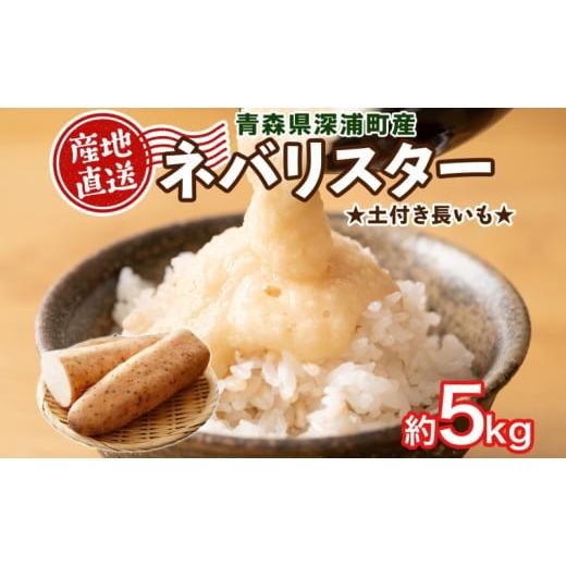 ふるさと納税 人参・大根・他根菜 青森県 深浦町 ふるさと納税 青森県深浦町産 ネバリスター 約5kg 土つき 長芋 根菜 野菜 とろろ 粘り ねばねば 加熱調理 ホ…