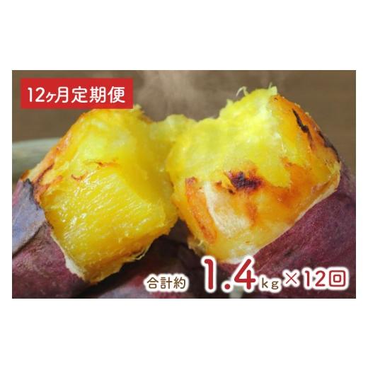ふるさと納税 野菜類 サツマイモ 茨城県 行方市  12ヶ月定期便 訳あり 紅はるか冷凍焼き芋約1.2kg＋おまかせ品種さつまいも　合計約1.4kg（EY-34）_1