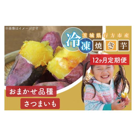 ふるさと納税 野菜類 サツマイモ 茨城県 行方市  12ヶ月定期便 訳あり 紅はるか冷凍焼き芋約1.2kg＋おまかせ品種さつまいも　合計約1.4kg（EY-34）_2