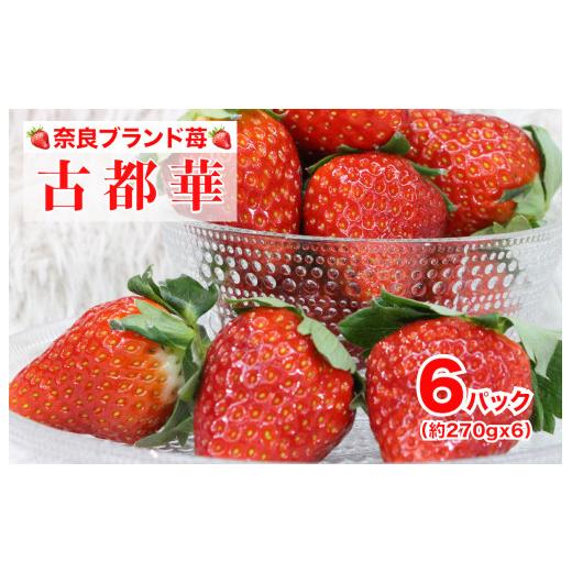 ふるさと納税 いちご 奈良県 河合町 2026年発送先行予約 苺 古都華(ことか) いちご 奈良 約270gx6パック 計1620g いちご 完熟 苺 産地 直送 フレッシュ イチ…
