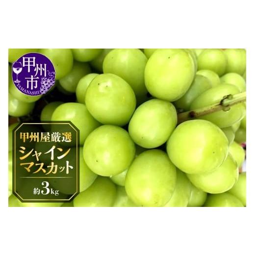 ふるさと納税 ぶどう マスカット 山梨県 甲州市 甲州屋厳選 シャインマスカット 約3kg 5〜8房 2026年発送 C7-116 シャインマスカット 葡萄 ぶどう ブドウ 令和…の画像