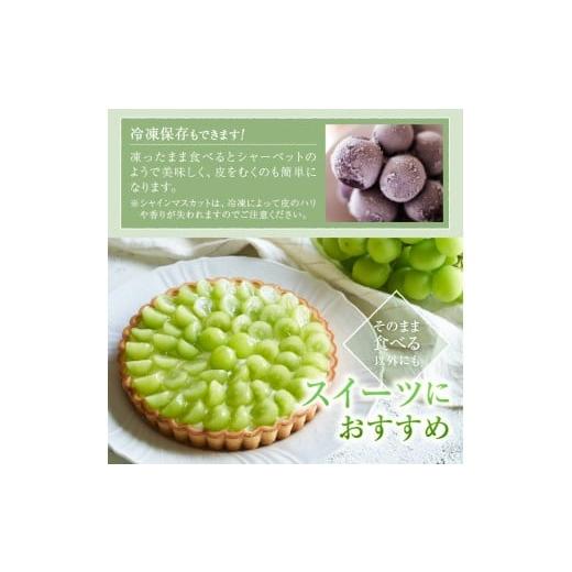 ふるさと納税 ぶどう マスカット 山梨県 甲州市 甲州屋厳選 シャインマスカット 約3kg 5〜8房 2026年発送 C7-116 シャインマスカット 葡萄 ぶどう ブドウ 令和…の画像