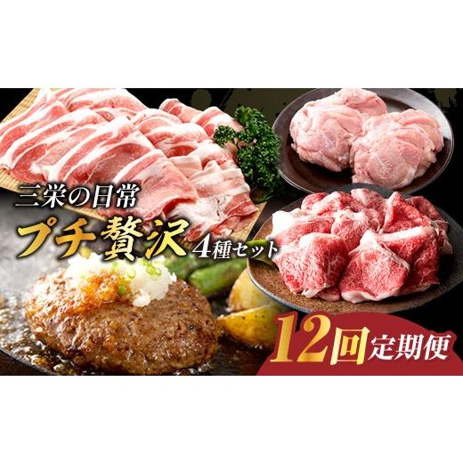 ふるさと納税 牛肉 佐賀県 伊万里市 三栄の日常プチ贅沢セット（12回定期便） 999-J893_1