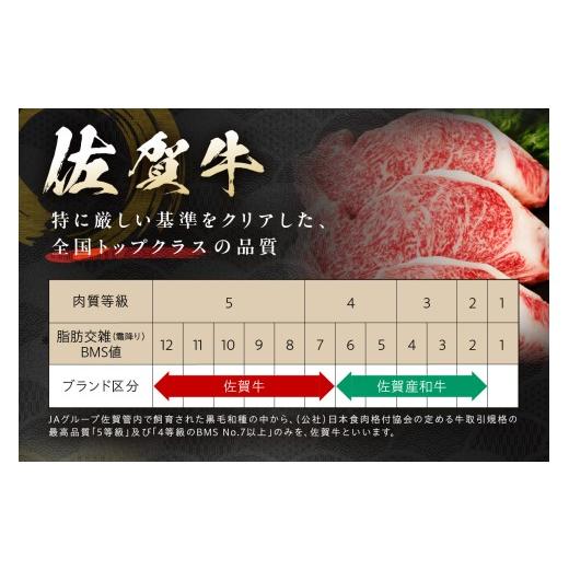 ふるさと納税 牛肉 佐賀県 伊万里市 三栄の日常プチ贅沢セット（12回定期便） 999-J893_5