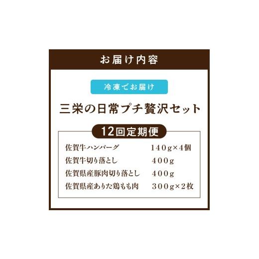 ふるさと納税 牛肉 佐賀県 伊万里市 三栄の日常プチ贅沢セット（12回定期便） 999-J893_7
