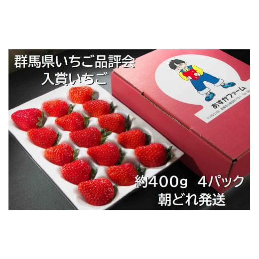 ふるさと納税 いちご 群馬県 前橋市 2026年 先行予約 いちご 4種食べ比べ 400g × 4パック 1.6kg | イチゴ 苺 高品質 たっぷり 新鮮 完熟 旬 ストロベリー 高…