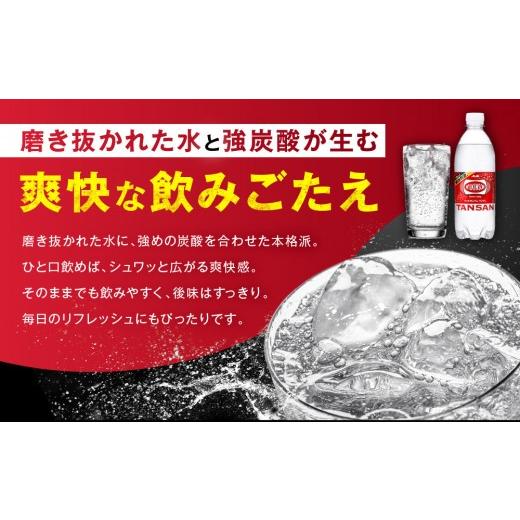 ふるさと納税 炭酸飲料 ソーダ水 愛知県 名古屋市  定期便4か月 アサヒ 炭酸水 ウィルキンソンタンサン ペットボトル 500ml 1ケース×4か月_3