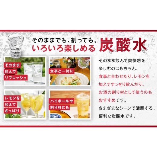 ふるさと納税 炭酸飲料 ソーダ水 愛知県 名古屋市  定期便4か月 アサヒ 炭酸水 ウィルキンソンタンサン ペットボトル 500ml 1ケース×4か月_4