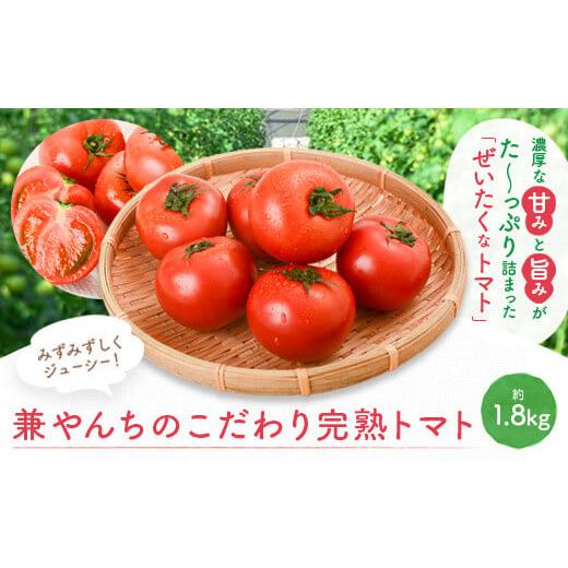 ふるさと納税 鹿児島県 肝付町 P74002 ぜいたくトマト(約1.8kg)