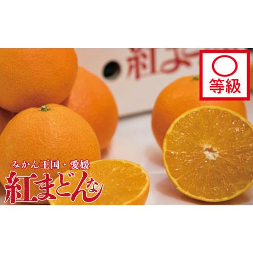 ふるさと納税 みかん・柑橘類 愛媛県 松山市 順次発送中 数量限定 紅まどんな 〇等級 化粧箱 L玉〜5L玉 | 高級 紅マドンナ べにまどん 柑橘 フルーツ 果物 く…