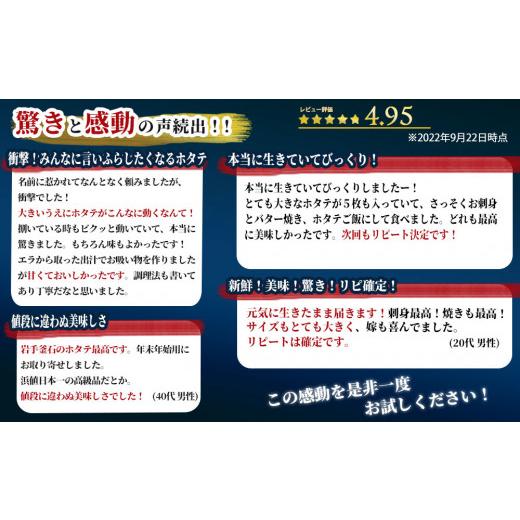 ふるさと納税 魚貝類 ホタテ 岩手県 釜石市 fc-39-024 泳ぐホタテ (12.5cm以上) 10枚 ヤマキイチ商店 泳ぐホタテ 10枚の画像