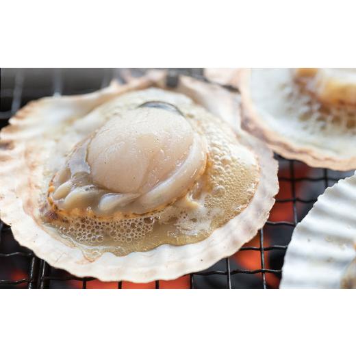 ふるさと納税 魚貝類 ホタテ 岩手県 釜石市 fc-39-024 泳ぐホタテ (12.5cm以上) 10枚 ヤマキイチ商店 泳ぐホタテ 10枚の画像