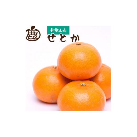 ふるさと納税 果物類 みかん 和歌山県 有田川町 ［先行予約］厳選 せとか2.5kg+250g（傷み補償分）［柑橘・春みかんの王様］［光センサー選果・食べ頃出荷］［… |  | 01
