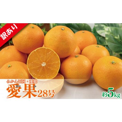 ふるさと納税 みかん・柑橘類 愛媛県 松山市 先行予約 2025年11月下旬以降順次発送 訳あり みかん 愛果28号 約5kg あいか アイカ みかん 紅まどんな 紅マドン…