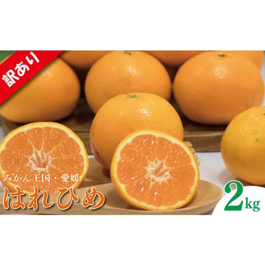 ふるさと納税 みかん・柑橘類 愛媛県 松山市 訳あり 家庭用 はれひめ S~3L玉 約2kg | わけあり ワケアリ みかん ハレヒメ 柑橘 フルーツ 果物 愛媛県 松山市 …