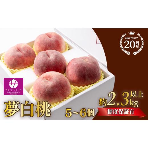 ふるさと納税 もも 山梨県 笛吹市 2026年発送 先行予約 数量超限定 夢白桃 2.3kg以上(5〜6個)光センサ使用 糖度13.5%以上 朝摘み産地直送 088-029