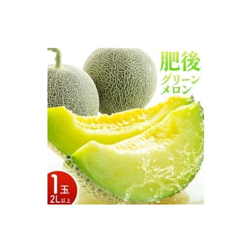 ふるさと納税 メロン メロン青肉 熊本県 菊池市 肥後グリーンメロン 1玉 2L以上 メロンドーム メロン 果物 フルーツ 九州産 熊本県産 送料無料 2026年5月中旬…