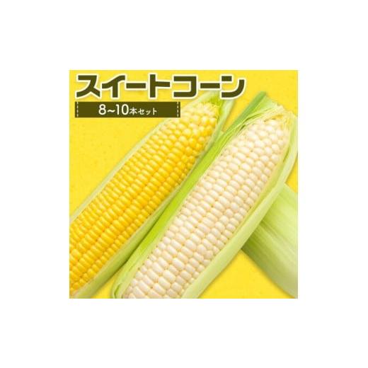 ふるさと納税 とうもろこし 熊本県 菊池市 スイートコーンセット 8-10本 養生市場 コーン とうもろこし 品種おまかせ ランダム 野菜 九州産 熊本県産 送料無料…