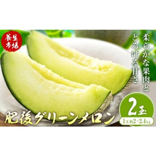 ふるさと納税 メロン メロン青肉 熊本県 菊池市 肥後グリーンメロン 約2-2.4kg×2玉 養生市場 有限会社七城町特産品センター[2026年5月中旬-6月中旬頃出荷]…