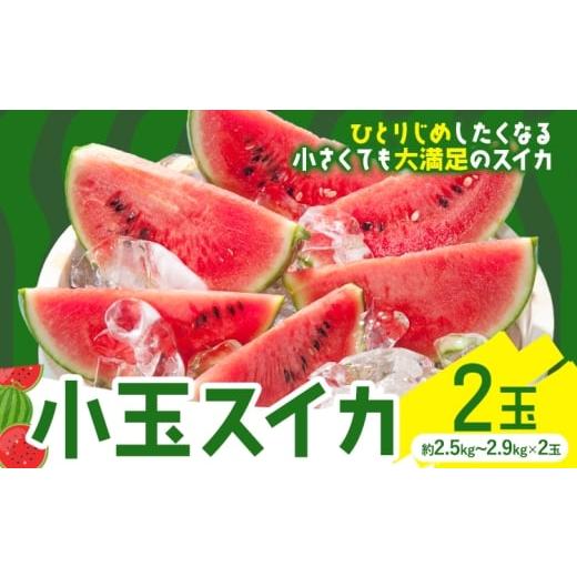 ふるさと納税 スイカ 熊本県 菊池市 小玉スイカ 2玉 養生市場 ひとりじめ 果物 フルーツ スイカ 西瓜 九州産 熊本県産 送料無料[2026年4月中旬-5月中旬頃出荷…