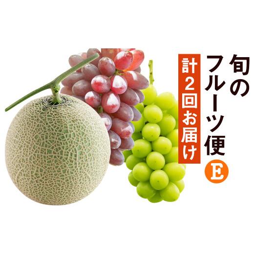 ふるさと納税 熊本県 菊池市 [2024年8月上旬より発送][定期便2回]旬のフルーツ便E ぶどう詰合せ アースメロン 2玉 養生市場