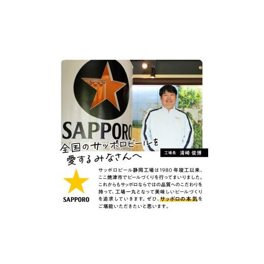 ふるさと納税 ビール 静岡県 焼津市 T0100-2104  定期便4回 サッポロ 生ビール ナナマル 500ml×24本の画像