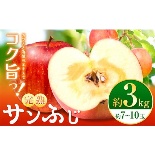 ふるさと納税 りんご 長野県 松本市 先行受付:2026年11月発送 完熟サンふじ3kg 鰹と海藻のエキスでコク 旨っ 全面真っ赤々 完熟サンふじ| サンふじ 林檎 り…