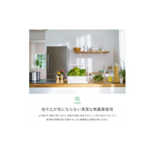 ふるさと納税 電化製品 長野県 松本市 IZUMI　水耕栽培キット Hugvege　SA-H133A-W　（本体、培地スポンジ、液肥、ランダムタネ2種類）| 植物 野菜 育成 園芸 …_2
