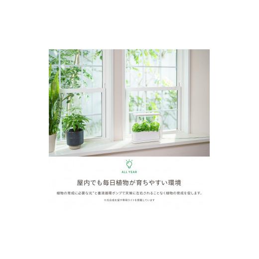 ふるさと納税 電化製品 長野県 松本市 IZUMI　水耕栽培キット Hugvege　SA-H133A-W　（本体、培地スポンジ、液肥、ランダムタネ2種類）| 植物 野菜 育成 園芸 …_3