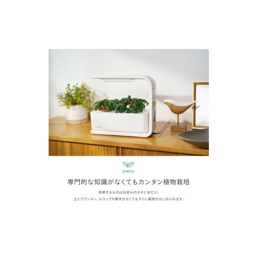 ふるさと納税 電化製品 長野県 松本市 IZUMI　水耕栽培キット Hugvege　SA-H133A-W　（本体、培地スポンジ、液肥、ランダムタネ2種類）| 植物 野菜 育成 園芸 …_4