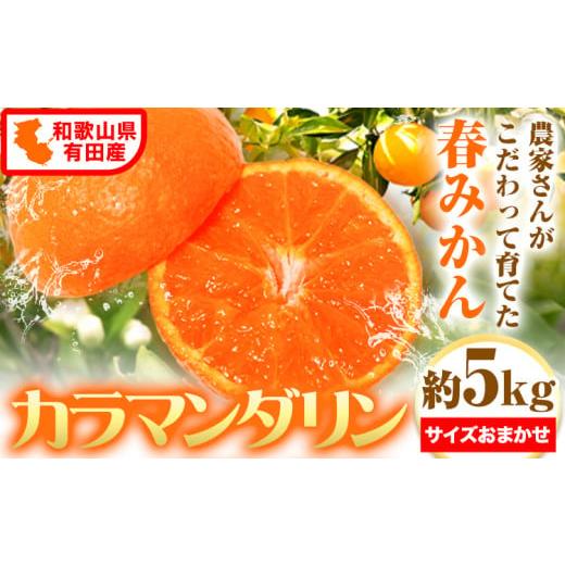 ふるさと納税 みかん・柑橘類 オレンジ 和歌山県 日高町 和歌山 有田産 カラマンダリン 約5kg (サイズおまかせ) 厳選館 [2026年4月上旬-5月中旬頃出荷] 和…