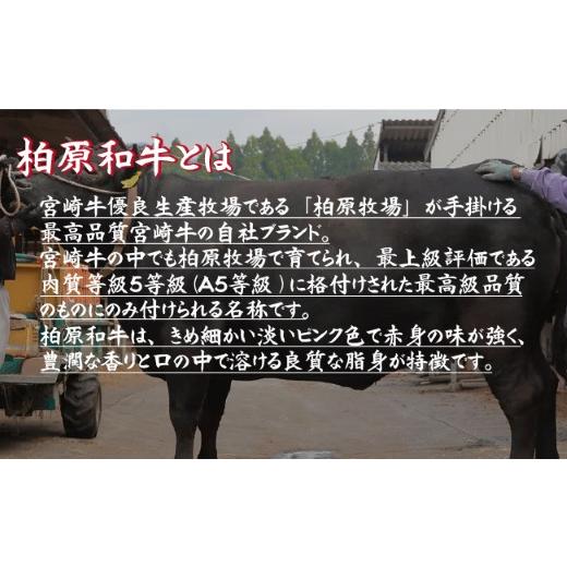 ふるさと納税 宮崎県 小林市 【自社農場宮崎牛】柏原和牛焼肉・特選カルビ　1キロ｜furusatochoice｜03